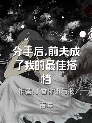 分手后，前夫成了我的最佳搭档