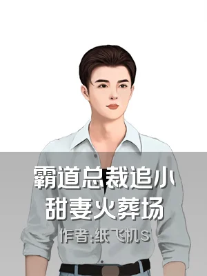 霸道总裁追小甜妻火葬场