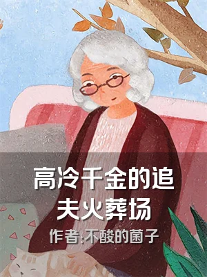 高冷千金的追夫火葬场