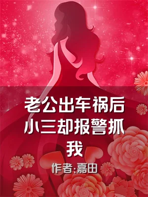 老公出车祸后小三却报警抓我