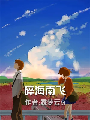 碎海南飞