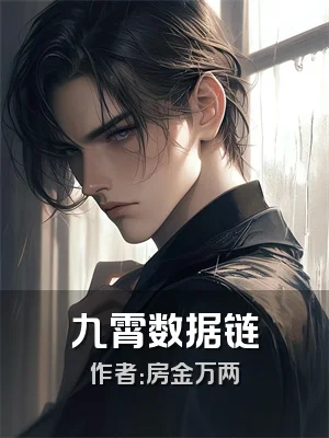九霄数据链