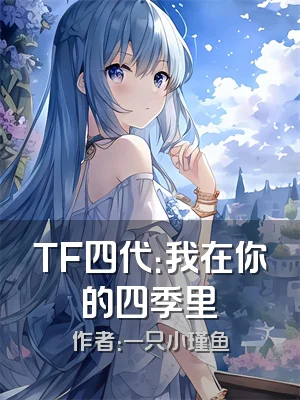 TF四代：我在你的四季里