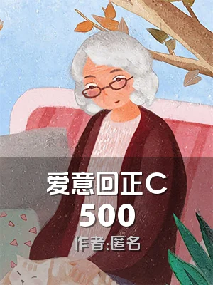 爱意回正C500