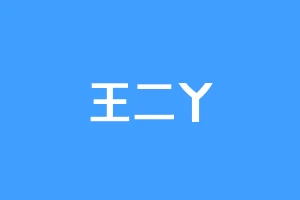 王二丫