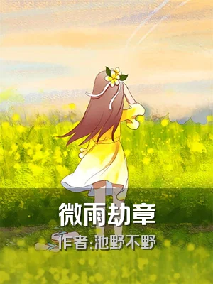 微雨劫章