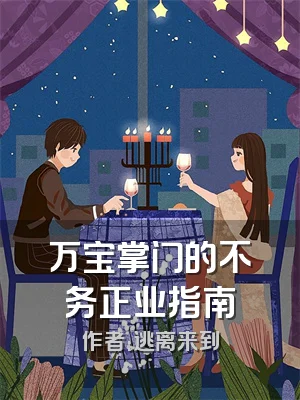 万宝掌门的不务正业指南