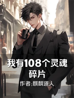 我有108个灵魂碎片