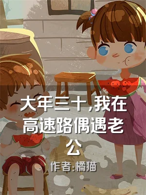 大年三十，我在高速路偶遇老公