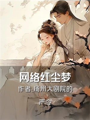 网络红尘梦