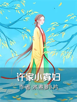 许家小寡妇