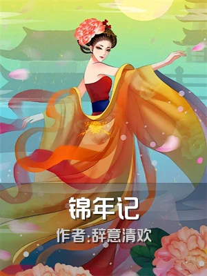 锦年记
