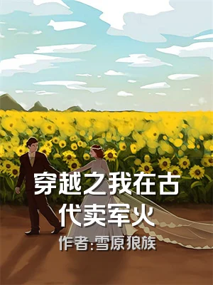 穿越之我在古代卖军火