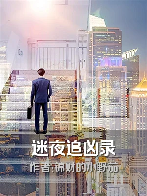 迷夜追凶录