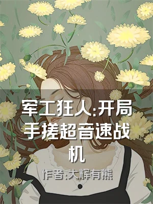 军工狂人：开局手搓超音速战机