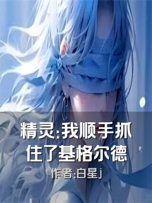 精灵：我顺手抓住了基格尔德