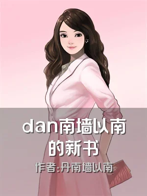 dan南墙以南的新书