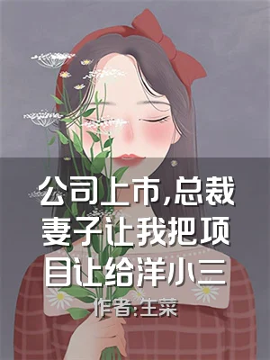 公司上市，总裁妻子让我把项目让给洋小三
