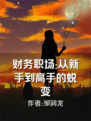 财务职场：从新手到高手的蜕变