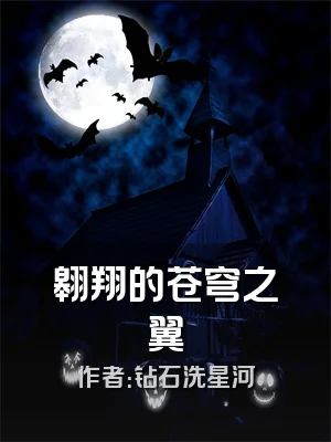 翱翔的苍穹之翼