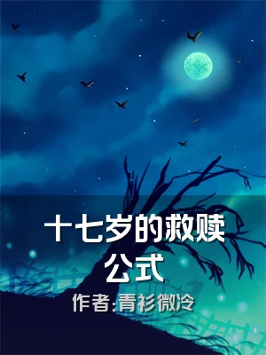 十七岁的救赎公式