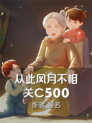 从此风月不相关C500