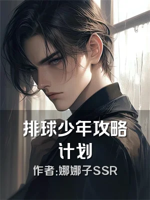 排球少年攻略计划