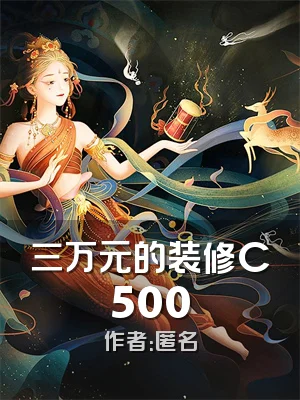 三万元的装修C500