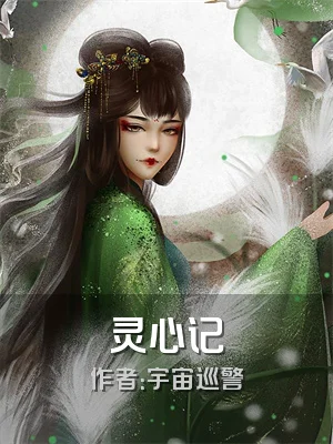 灵心记