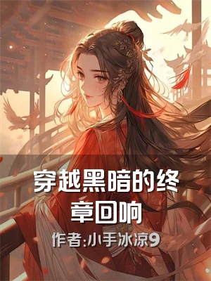 穿越黑暗的终章回响