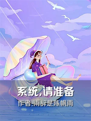系统，请准备