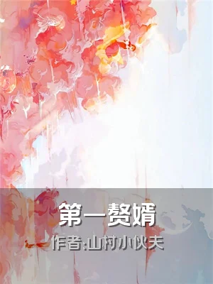 第一赘婿