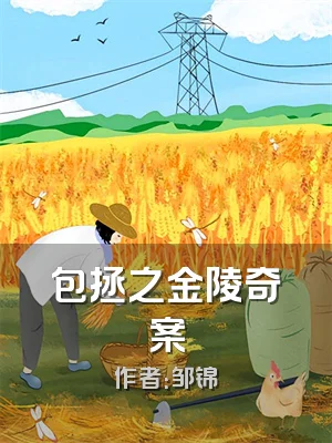 包拯之金陵奇案