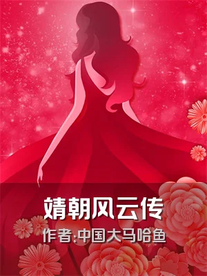 靖朝风云传
