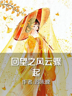 回望之风云骤起