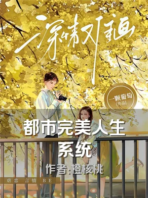 都市完美人生系统