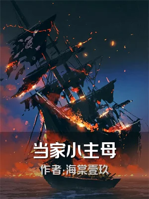 当家小主母
