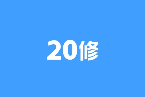 20修
