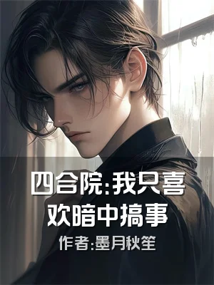 四合院：我只喜欢暗中搞事