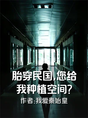 胎穿民国，您给我种植空间？