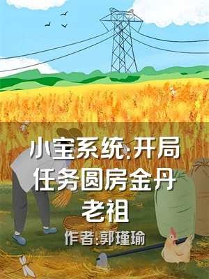 小宝系统：开局任务圆房金丹老祖