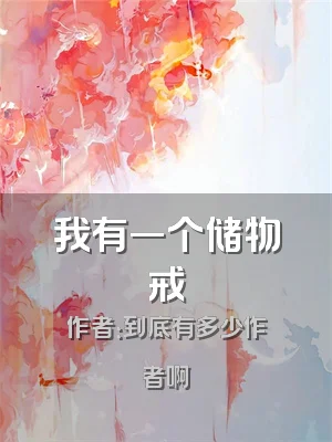 我有一个储物戒