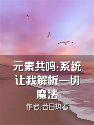 元素共鸣：系统让我解析一切魔法