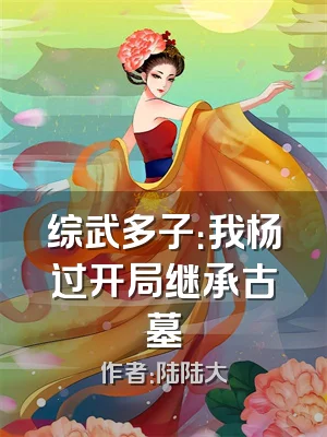 综武多子：我杨过开局继承古墓