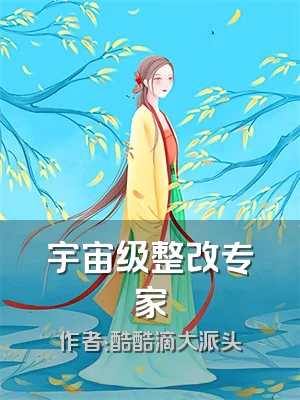 宇宙级整改专家