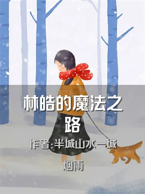 林皓的魔法之路