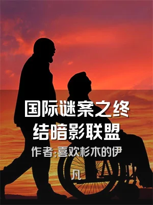 国际谜案之终结暗影联盟