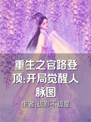 重生之官路登顶：开局觉醒人脉图