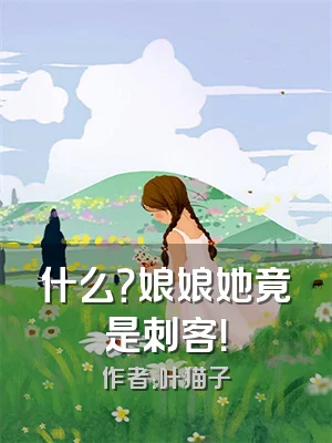 什么？娘娘她竟是刺客！