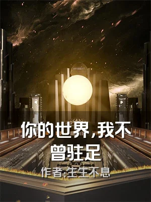 你的世界，我不曾驻足